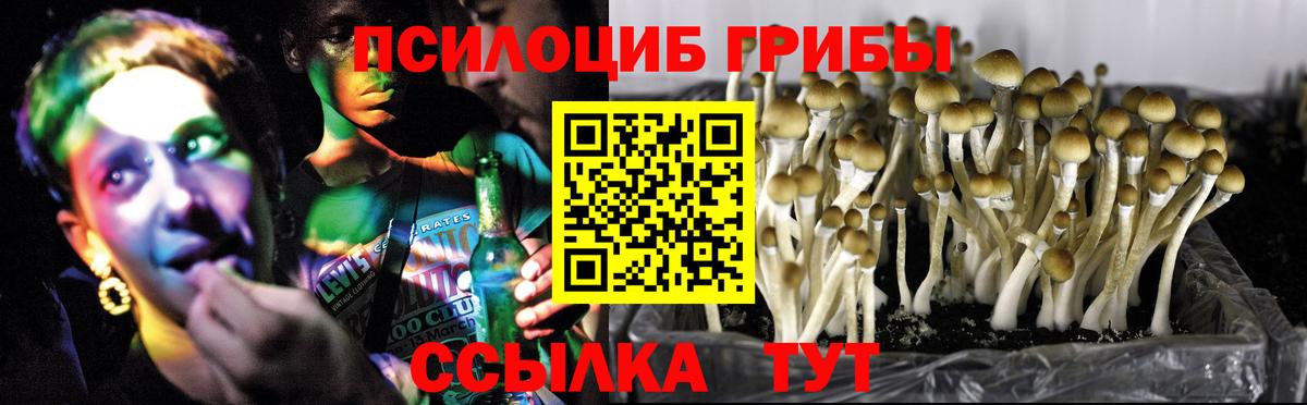 Псилоцибиновые грибы ЛСД  Вход с VPN  Котовск 