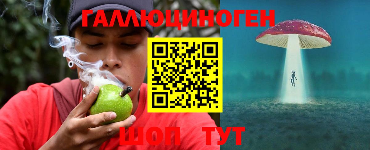 Псилоцибиновые грибы MAGIC MUSHROOMS Котовск